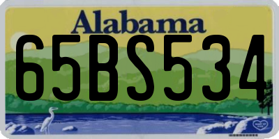 AL license plate 65BS534