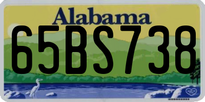 AL license plate 65BS738
