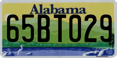 AL license plate 65BT029