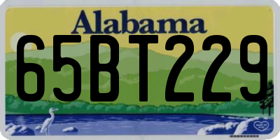 AL license plate 65BT229
