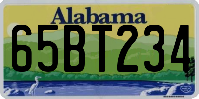 AL license plate 65BT234