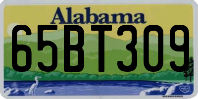 AL license plate 65BT309