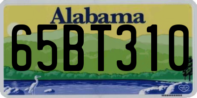 AL license plate 65BT310
