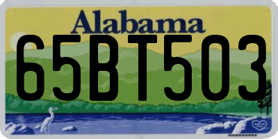 AL license plate 65BT503