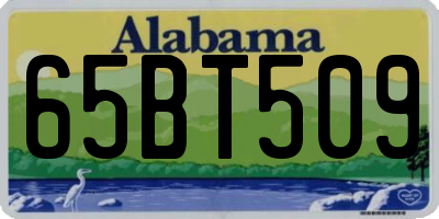 AL license plate 65BT509