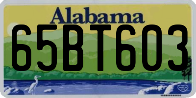 AL license plate 65BT603