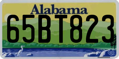 AL license plate 65BT823