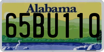 AL license plate 65BU110