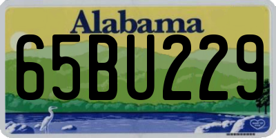 AL license plate 65BU229