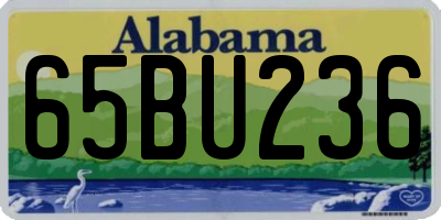 AL license plate 65BU236