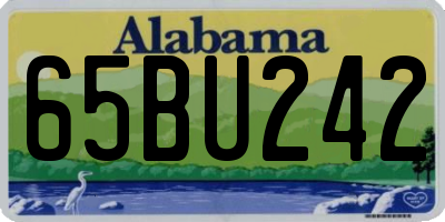 AL license plate 65BU242
