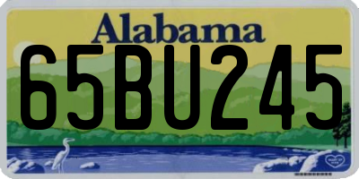 AL license plate 65BU245
