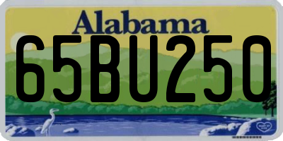 AL license plate 65BU250