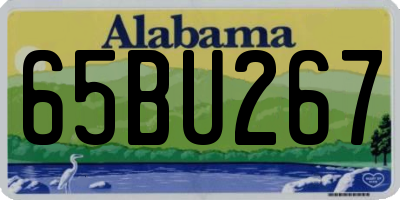 AL license plate 65BU267
