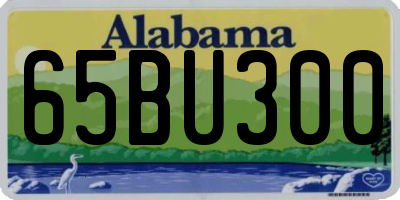 AL license plate 65BU300