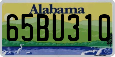 AL license plate 65BU310