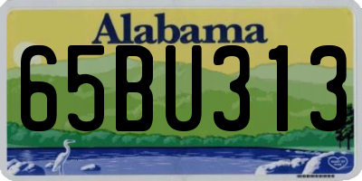 AL license plate 65BU313