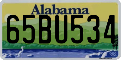 AL license plate 65BU534
