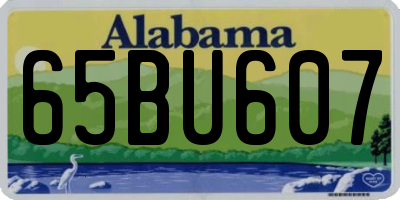 AL license plate 65BU607
