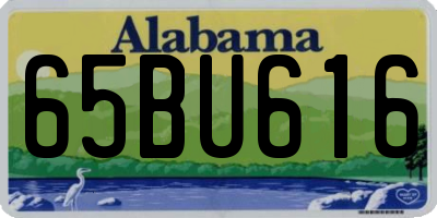 AL license plate 65BU616