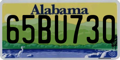 AL license plate 65BU730