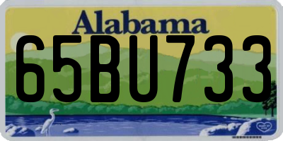 AL license plate 65BU733