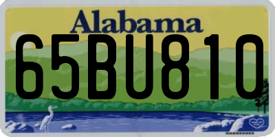 AL license plate 65BU810
