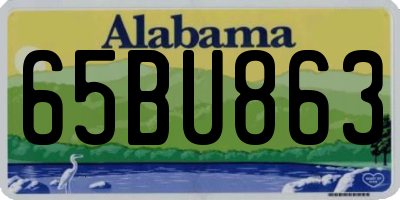 AL license plate 65BU863