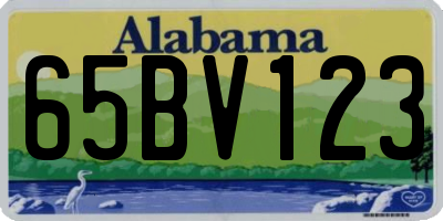 AL license plate 65BV123