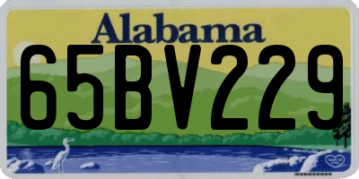 AL license plate 65BV229
