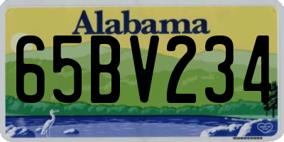 AL license plate 65BV234