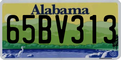 AL license plate 65BV313