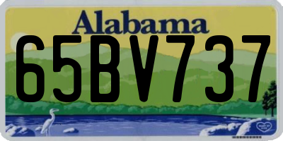 AL license plate 65BV737