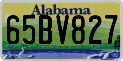 AL license plate 65BV827