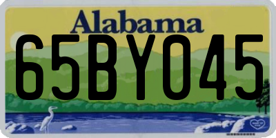 AL license plate 65BY045