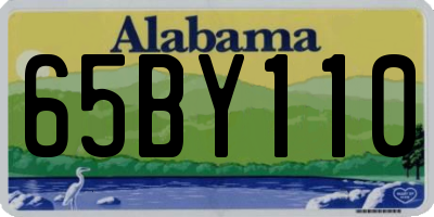 AL license plate 65BY110