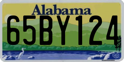 AL license plate 65BY124
