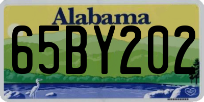 AL license plate 65BY202