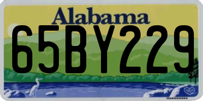 AL license plate 65BY229