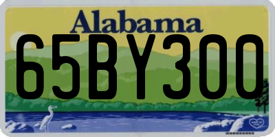 AL license plate 65BY300