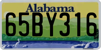 AL license plate 65BY316