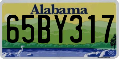 AL license plate 65BY317