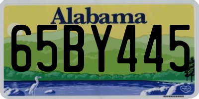 AL license plate 65BY445