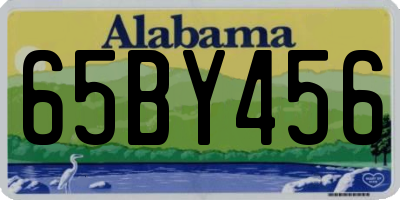 AL license plate 65BY456