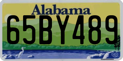 AL license plate 65BY489
