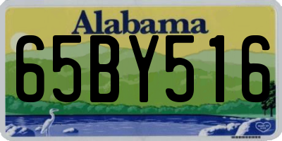 AL license plate 65BY516