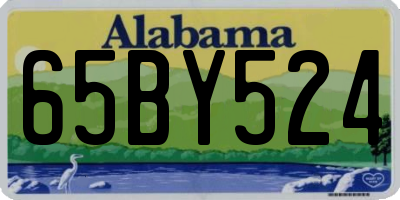 AL license plate 65BY524