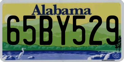AL license plate 65BY529