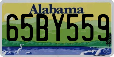 AL license plate 65BY559