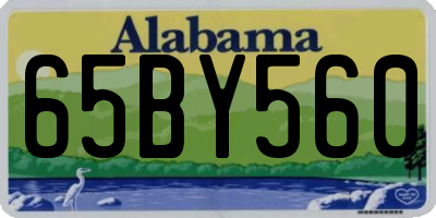 AL license plate 65BY560